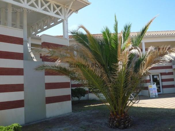 Soulac-Sur-Mer Avec Piscine Kültér fotó